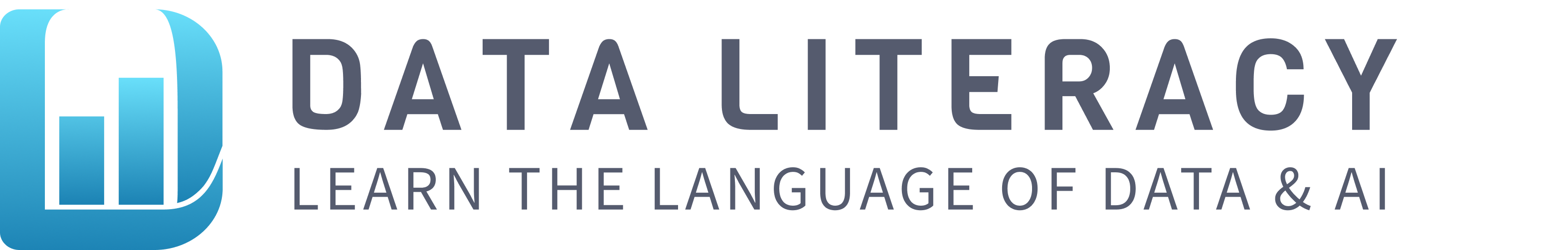 Data Literacy